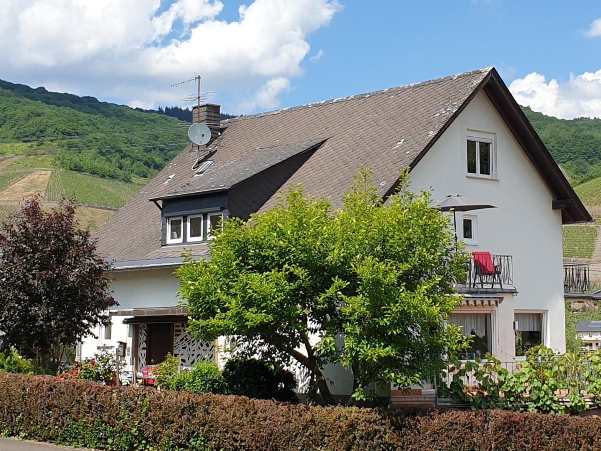 Schorn³ Appartements Zell an der Mosel Exterior photo